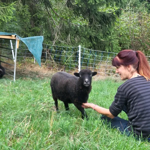 Frau streichelt ein schwarzes Schaf auf der Weide